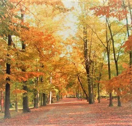 Da Leonardo 피렌체