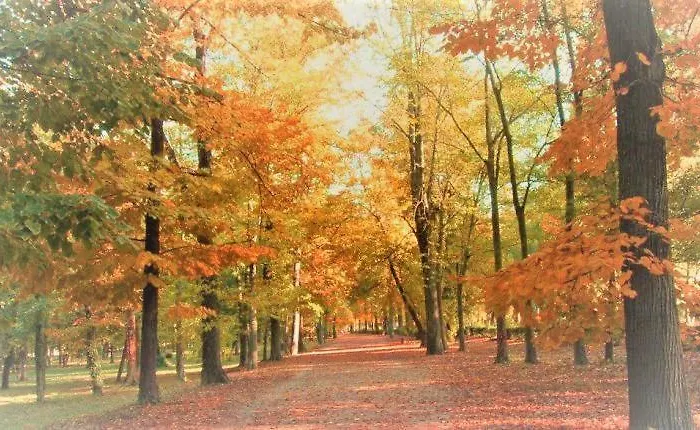 Da Leonardo Florence